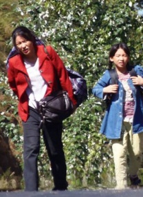 一级无毛